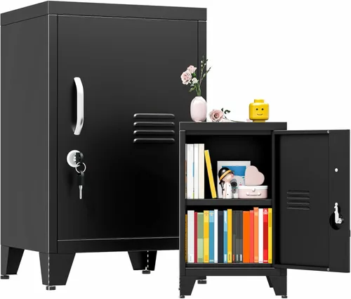GAIOUS Armario de almacenamiento de armario de metal de 24 pulgadas de alto con 1 puerta, gabinete de almacenamiento de archivos bloqueado con 1