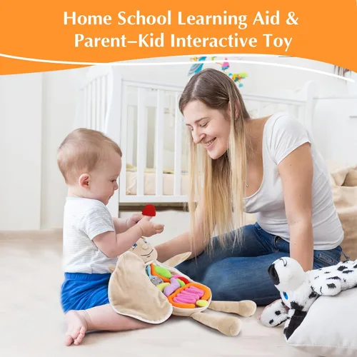 Miniatura 3 de vocheer Juguete de anatomía del cuerpo humano, juguetes de peluche de órgano educativo Montessori preescolar para niños, kits de aprendizaje