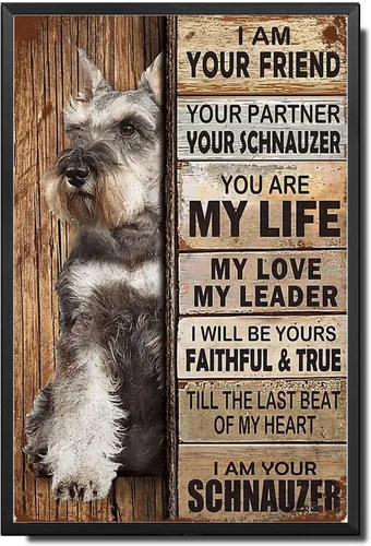 Miniatura 22 de Letrero de Metal Letrero de Hojalata Arte de Pared Vintage I Am Your Friend Regalo para Amantes de Schnauzer Arte de Pared Vintage Impresiones