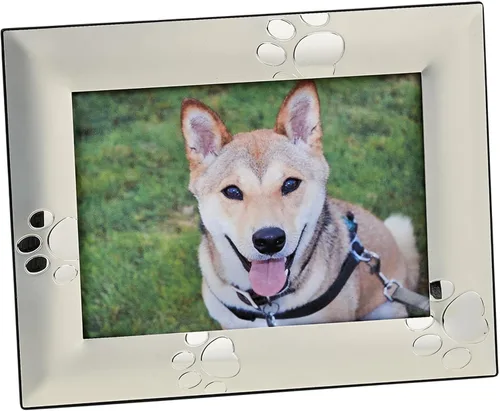 Creative Gifts International 24158 - Marco de fotos con estampado de patas de cachorro, plateado, 4 x 6 pulgadas