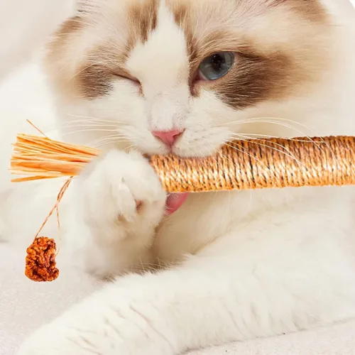 Miniatura 3 de Palitos de vid plateada 100% naturales para gatos, juguetes para masticar para gatos, promueve la salud dental, la digestión y el tiempo de juego