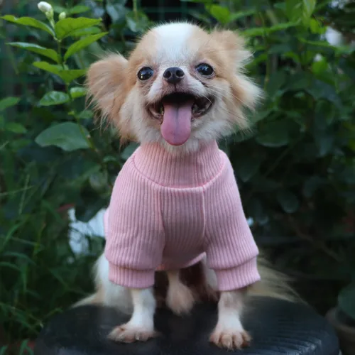 Miniatura 6 de LOPHIPETS Suéteres de cuello alto para perros pequeños, ropa para cachorros Chihuahua, rosa claro brillante, M