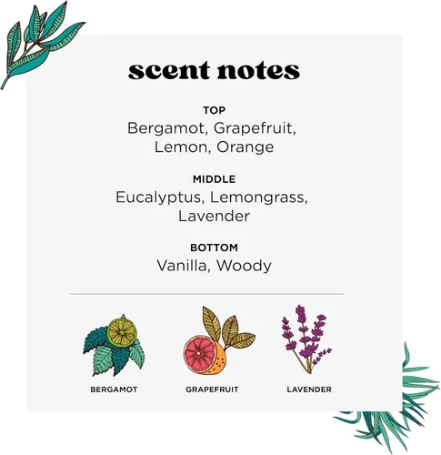 Miniatura 3 de Poo-Pourri Before-You-Go Espray para inodoro, Aroma a lavanda y vainilla.