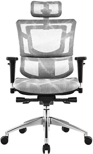 Miniatura 6 de Commercial Ergonomic High Back Executive Mesh Chair, with Adjustable Lumbar Support, Headrest and 3D Armrests Configure Chassis Functions(A)
