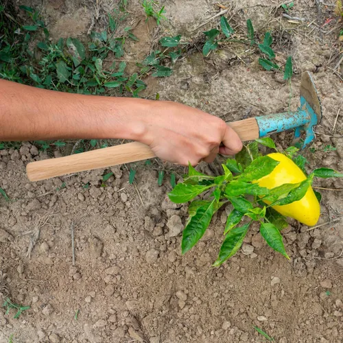 Miniatura 6 de Kisangel Reemplazo de mango de madera de 14.56 pulgadas para herramienta de jardín con agarre cómodo, mango de madera duradero para cuidado