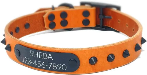 Miniatura 11 de Personalized Spiked Bridle Leather Dog Collar, Engraved Matte Black Metal Nameplate (Mustard Yellow)