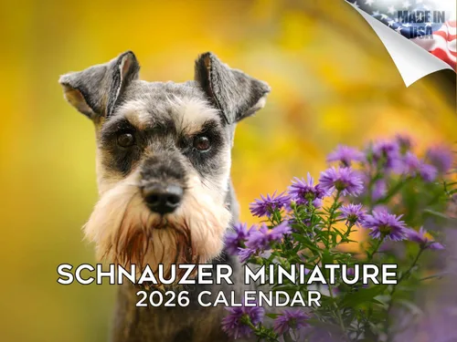 Miniatura 144 de Calendario 2025 2026 de cachorros Cocker Spaniel - Calendario mensual de pared de raza de perro - 12" x 24" abierto - Papel grueso sin sangrado