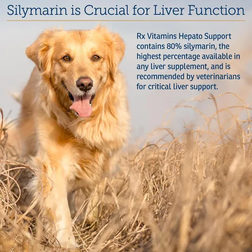 Miniatura 5 de Rx Vitamins Hepato Support para perros y gatos - Suplemento de apoyo hepático con cardo mariano para perros y gatos - Suplemento hepático