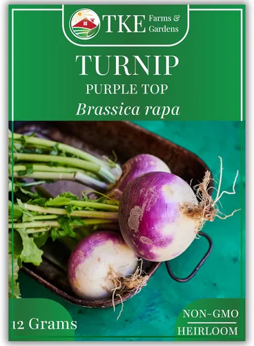 TKE Farms & Gardens - Semillas de nabo púrpura para plantar, 0.44 onzas, 5000 semillas de reliquia, sin OMG, el paquete incluye instrucciones para