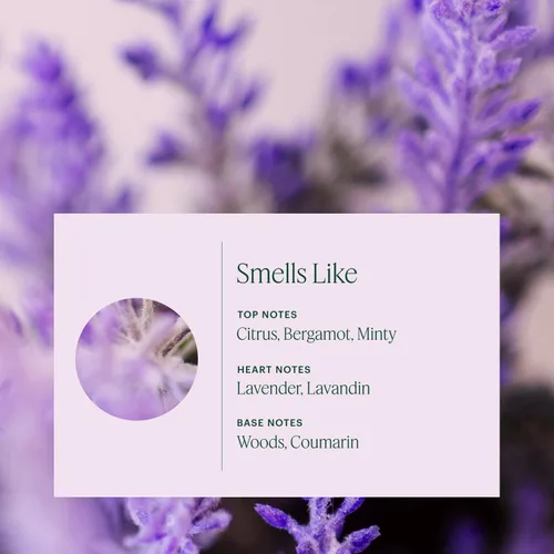 Miniatura 2 de Aera Mini Home Hygiene - Recambio de cápsula de fragancia de aceite esencial de lavanda + bergamota, notas de lavanda, lavanda y menta silvestre