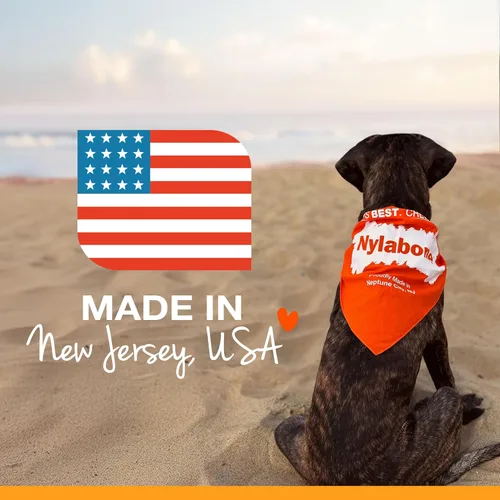 Miniatura 10 de Nylabone Healthy Edibles Masticables Naturales para Perros Golosinas Masticables de Larga Duración para Perros, Sabor a Carne Asada y Pollo