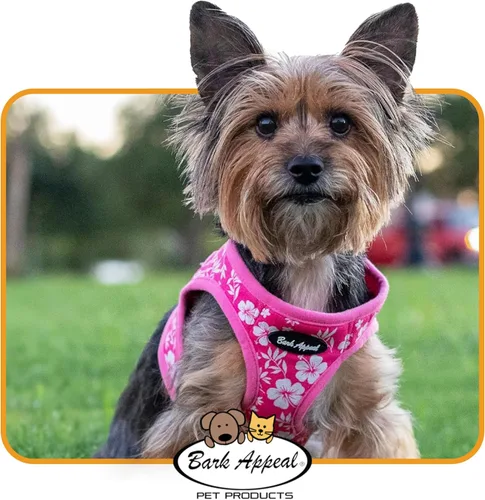 Miniatura 6 de Bark Appeal Arnés Escalonado para Perro Azul Aguamarina para Mascotas Pequeñas-Medianas – Tallas Actualizadas, Volver a Medir es Esencial – Arnés