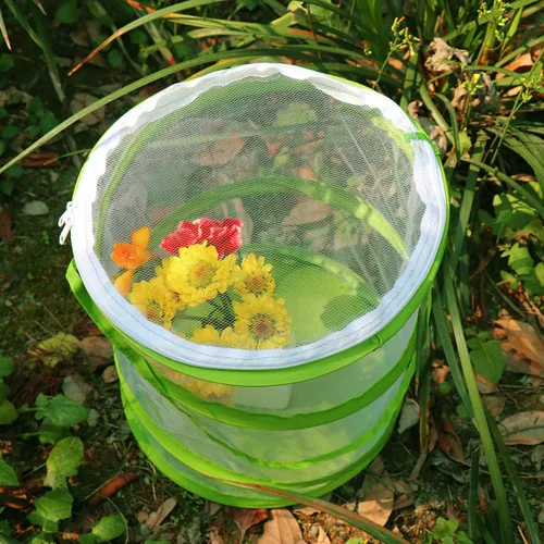 Miniatura 5 de RESTCLOUD Jaula de hábitat para insectos y mariposas, terrario de malla transparente, transparente más fácil, 9 x 11 pulgadas de alto