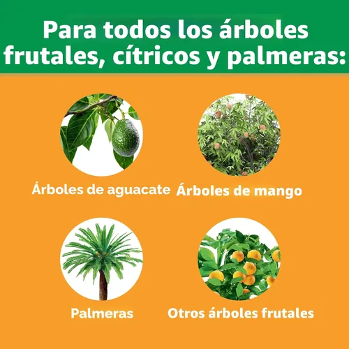 Miniatura 8 de Barras fertilizantes 100396 de Miracle-Gro para árboles frutales y cítricos, paquete de 12, 12