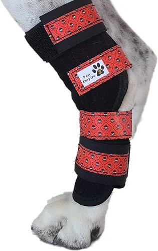 Miniatura 13 de Par de soportes para piernas de perro, ultra apoyo, cómodo, resortes de metal duales, soporte de hockey canino para artritis articular, ayuda a