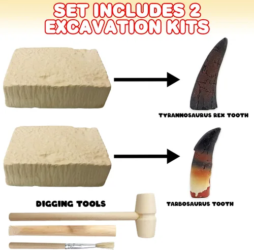 Miniatura 2 de ArtCreativity Dino Teeth Dig and Discover Kit de excavación para niños, incluye dientes fósiles de juguete T-rex y Tarbosaurus con 2 herramientas