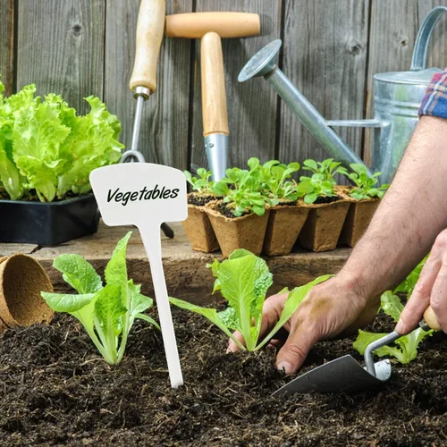 Miniatura 7 de KINGLAKE GARDEN Etiquetas de plástico para plantas de 10.4 pulgadas, paquete de 30 etiquetas de jardín al aire libre, etiquetas gruesas de jardín