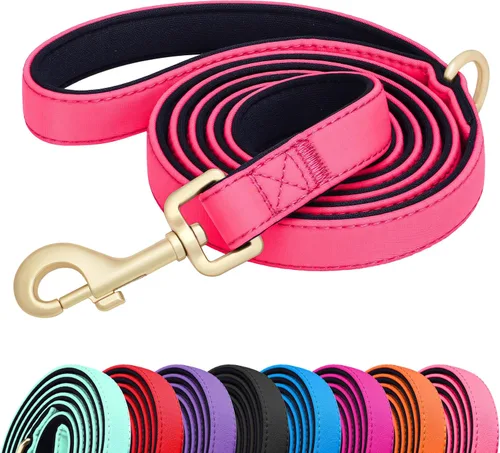 Miniatura 15 de Didog Correa para perro de nailon colorido de 5 pies con acolchado suave de longitud completa, ligera y duradera para perros pequeños, negro, S