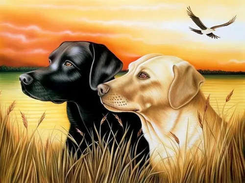 VAIIEYO Kits de arte de diamantes para perros adultos, pintura de diamante, cachorro de animal, pintura por números para mascotas, taladro completo,