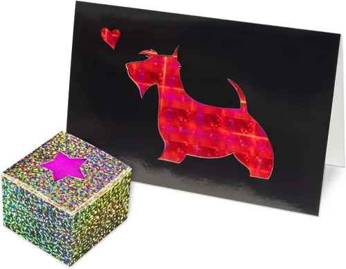 Miniatura 7 de Hygloss Productos Tarjeta holográfica Stock-8.5"x11" 10pt, 5 hojas, plata brillante