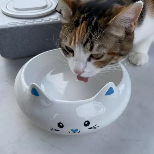 Miniatura 3 de Cuenco de comida para gatos, cuencos de cerámica para gatos, lindo cuenco de agua para gatitos con capacidad de 7.1 onzas, plato de alimentación