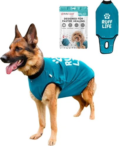 Traje de recuperación para cirugía de perro BellyGuard, mameluco de perro para cuidado post-operatorio, ropa de recuperación para caninos machos y