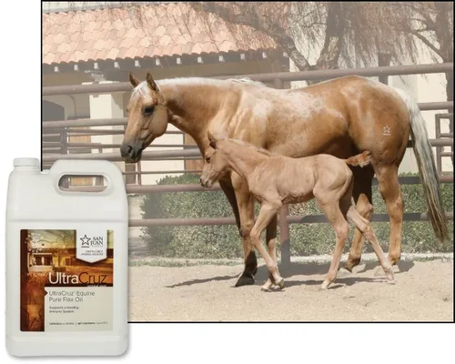 Miniatura 4 de UltraCruz® Aceite de lino puro equino, 1 galón