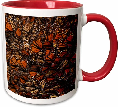 Miniatura 9 de 3dRose Taza de café, tamaño - 15oz - México. Mariposa monarca (Danaus plexippus) - SA13 GJE0047 - Gavriel Jecan Butterflies - divertido regalo
