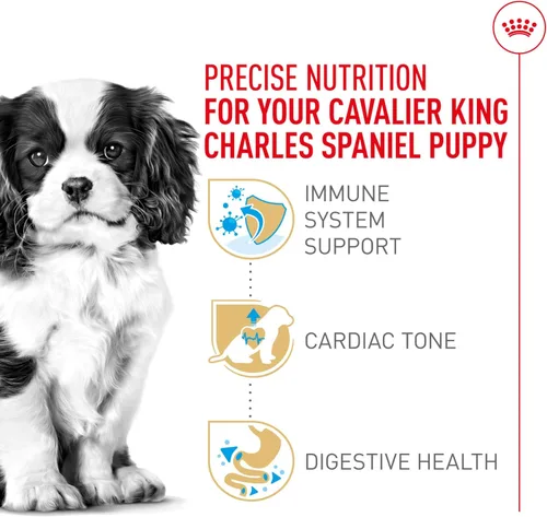 Miniatura 3 de Royal Canin Breed Health Nutrition Cavalier King Charles Spaniel - Alimento seco para cachorros, bolsa de 3 libras