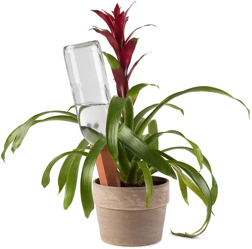 Miniatura 2 de Modern Innovations estacas para regar plantas, conjunto de 4 para regar plantas con este gran sistema de riego, perfecto para el hogar como un