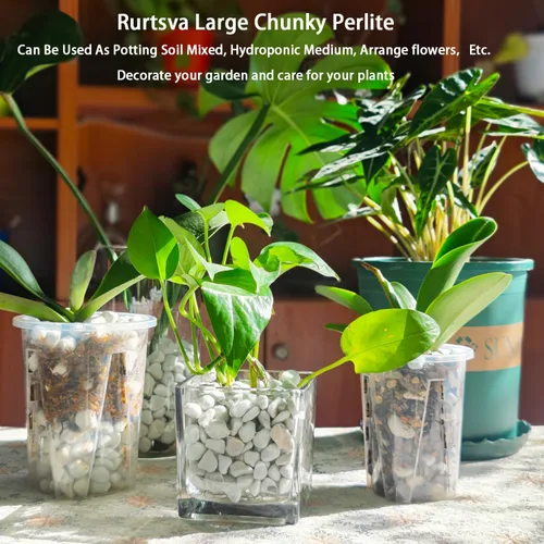 Miniatura 6 de Perlita gruesa dura natural de 0.4 a 0.8 pulgadas, 2 cuartos de galón para plantas hortícolas, perlita orgánica gruesa a granel, mezcla para macetas