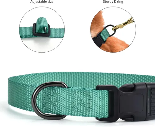Miniatura 3 de AUDWUD Collar de nailon grueso, clásico ajustable, varios colores, adecuado para perros pequeños, medianos y grandes, 4 tamaños Esmeralda