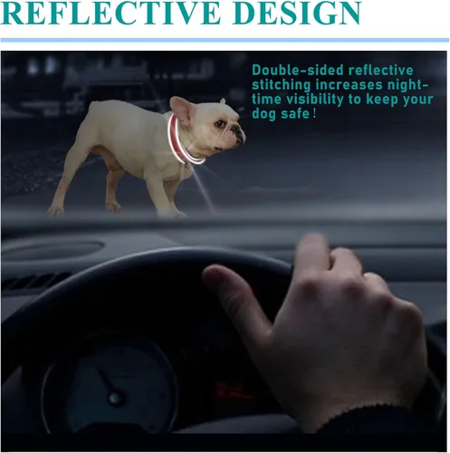 Miniatura 7 de Collares de perro personalizados con placa de nombre, etiquetas de identificación de placa de nombre grabadas con collar de perro de nailon Púrpura