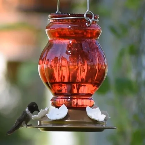 Miniatura 5 de Nature's Way Comedero colgante de vidrio para colibríes para decoración al aire libre, alimentador de néctar de capacidad de 25 onzas, 5 puertos