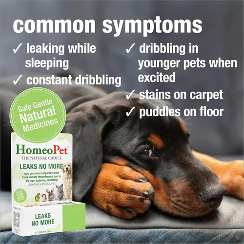 Miniatura 3 de HomeoPet No más fugas, alivio de la incontinencia urinaria para mascotas, medicina segura y natural para la incontinencia, 0.5 fl oz
