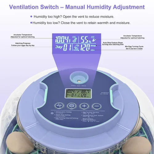Miniatura 4 de Incubadora de 18 huevos para incubar pollos, girador automático de huevos con capacidad para 18 huevos, incubadora inteligente con ventana
