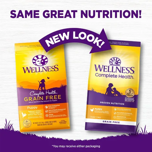 Miniatura 2 de Wellness Complete Health - Alimento seco para cachorros, croquetas sin granos, receta natural, pollo y salmón, bolsa de 22 libras