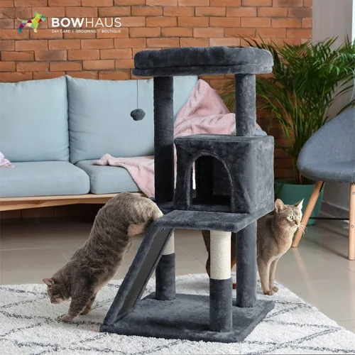 Miniatura 8 de BOWHAUS Árbol alto para gatos grandes o gatitos de interior, árbol de actividades para gatos de varios niveles con postes rascadores, hamaca