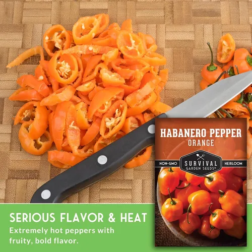 Miniatura 3 de Survival Garden Seeds - Semillas de pimiento habanero naranja, chile afrutado extremadamente picante para plantar, variedad tradicional sin OMG