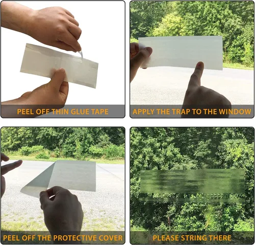 Miniatura 4 de UCatch Trampas transparentes para moscas (paquete de 26) para atrapar moscas domésticas, polillas, mosquitos, arañas, insectos. Papel transparente