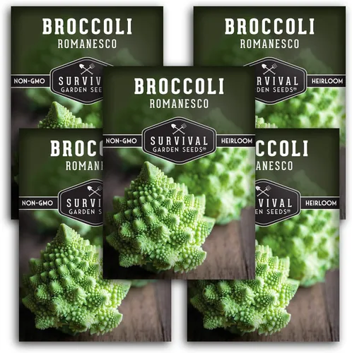 Miniatura 10 de Romanesco - Semillas de brócoli para plantar, vegetales exóticos italianos tradicionales con cabezas en espiral únicas, alto rendimiento, cultivo