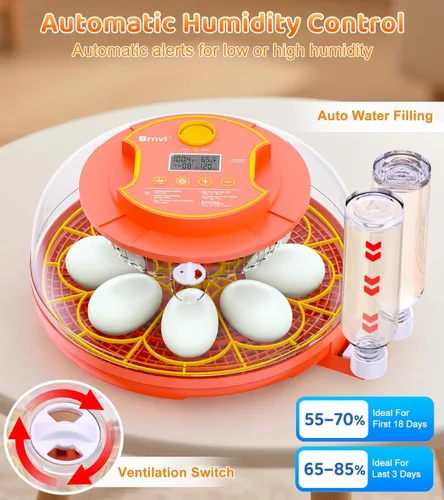Miniatura 3 de Incubadora de 18 huevos con giro automático de huevos, control digital de humedad de temperatura, incubadora para incubar huevos, vela de vista