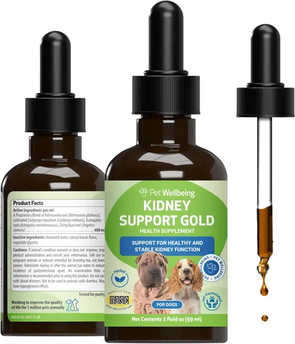 Pet Wellbeing Soporte renal Gold para perros – Apoya la función renal saludable, equilibrio de líquidos, niveles de energía, Rehmannia, Dong Quai –