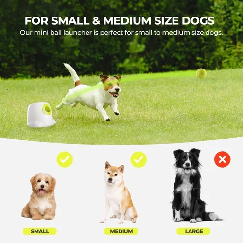 Miniatura 6 de ALL FOR PAWS Lanzador automático de bolas para perros, máquina interactiva para mascotas, lanzador de bolas para interiores, 3 bolas incluidas