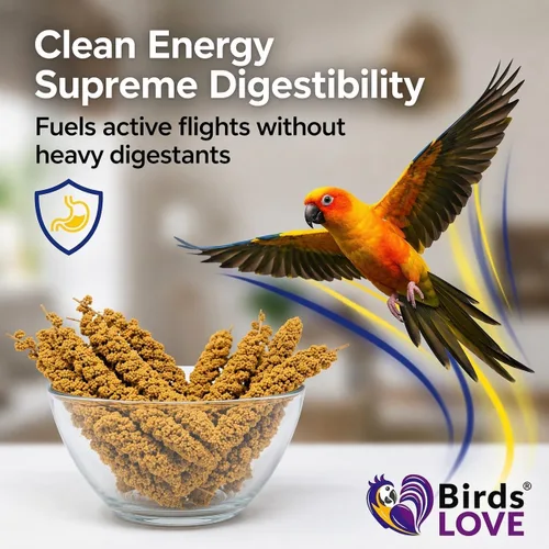 Miniatura 9 de Birds LOVE Puntas y Colas de Mijo para Aves - Periquitos, Cacatúas, Periquitos, Pinzones, Cotorras, Canarios, Cacatúas - Mijo Natural y Saludable