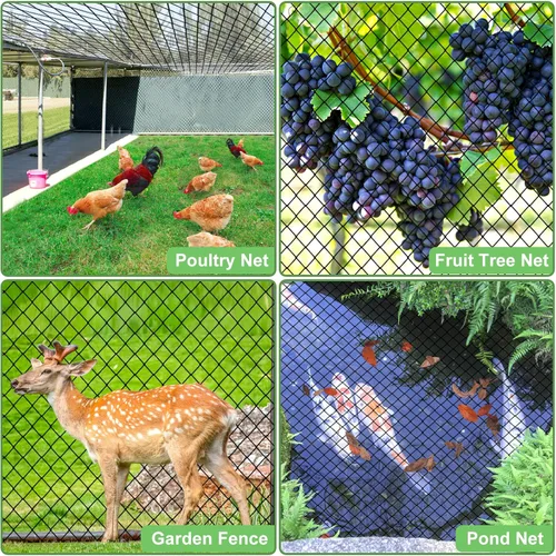 Miniatura 5 de Red para pájaros, red de nailon resistente de 25 x 25 pies con malla de 2 pies para protección del jardín, gallinero, árbol frutal, huerto