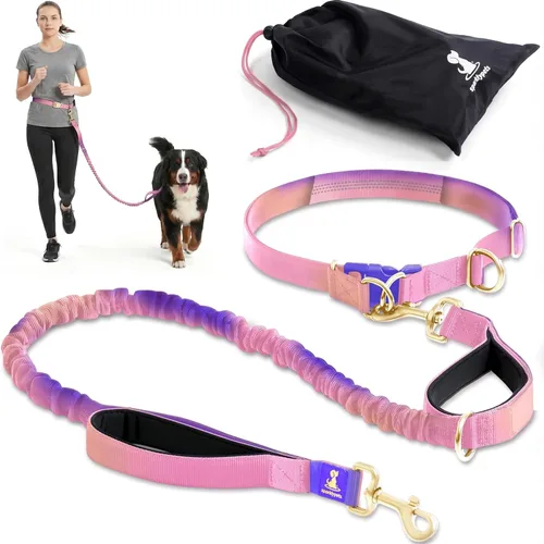 Miniatura 11 de SparklyPets Double Bungee Waist 2 Dog Leash with Back Brace – Dual Dog Leash for Medium/Large Breeds – Running Belt Fanny Pack with Phone, Waste