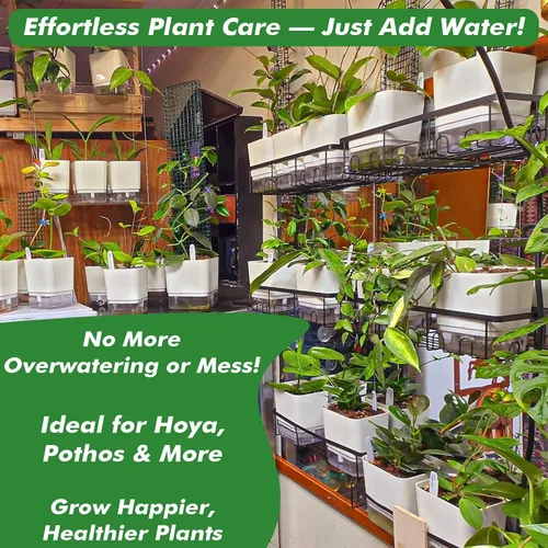 Miniatura 8 de Planterhoma Macetas de riego automático para plantas de interior de 4.3 pulgadas, 6 paquetes de macetas cuadradas de riego automático con orificio