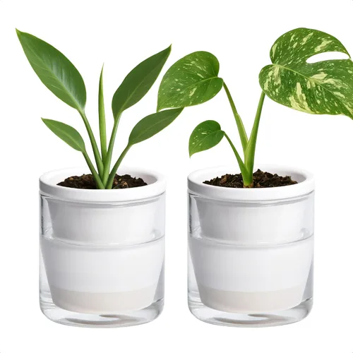 Miniatura 13 de D'vine Dev Maceta de Diseño de Riego Automático de 4 Pulgadas para Plantas de Interior, Maceta de Terracota Azul con Vaso Cilíndrico de Vidrio