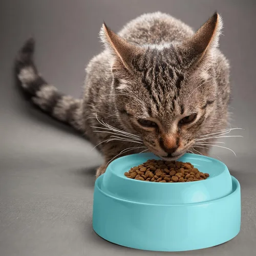 Miniatura 5 de CatGuru - Tazón para comida de gato, alivia la fatiga de los bigotes, plato ancho para gato, tazones antideslizantes para gatos, tazones poco